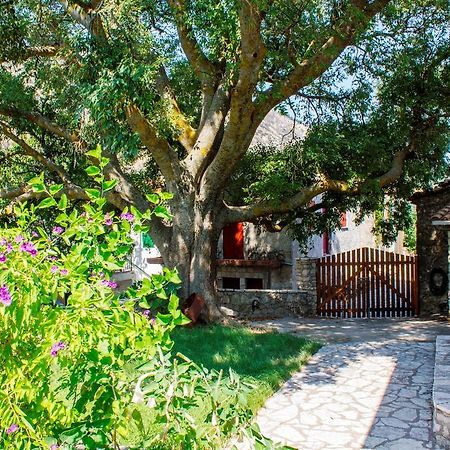 Menelia Cottage Platistoma Phòng bức ảnh